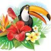 tropicalware tropicalware